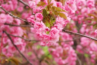 常州天宁区线下个人借款平台一站式服务，轻松解决资金难题
