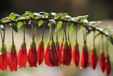 常州天宁区零用贷短借：轻松解决临时资金需求